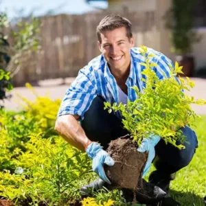 2026🏆✨LAST DAY SALE 70% OFF🔥Seasonal Promotion🔥-Soil Pro Activator - Image 10