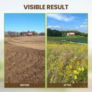 2026🏆✨LAST DAY SALE 70% OFF🔥Seasonal Promotion🔥-Soil Pro Activator - Image 9