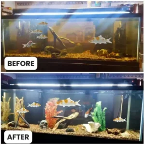 Aquariums Aqua-Guardian Blend - Image 22
