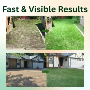 🌿 2-in-1 Weed Killer | Same-Day Results & Kills Roundup-Resistant Weeds - Image 4
