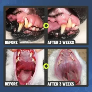 Dental Spray – Stop Bad Breath & Tartar at the Source - Image 10