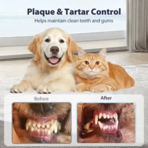 Dental Spray – Stop Bad Breath & Tartar at the Source - Image 9