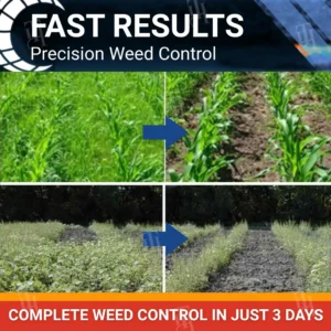 Halauxifen-methyl Cereals Herbicide (𝟟𝟘% 𝕆𝔽𝔽 𝗘𝗡𝗗𝗦 𝗜𝗡 𝟭𝟬 𝗠𝗜𝗡𝗨𝗧𝗘𝗦) - Image 2