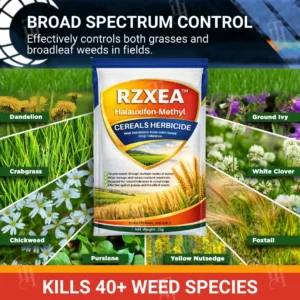 Halauxifen-methyl Cereals Herbicide (𝟟𝟘% 𝕆𝔽𝔽 𝗘𝗡𝗗𝗦 𝗜𝗡 𝟭𝟬 𝗠𝗜𝗡𝗨𝗧𝗘𝗦) - Image 4