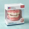MultiFunctional Shaping Silicone Denture Set