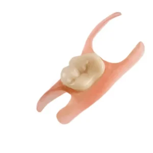 Premium Denture - Image 3
