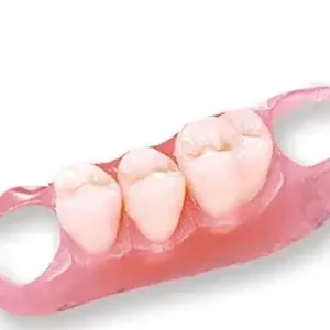 Premium Denture - Image 4