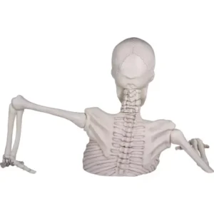 Giant Skeleton Groundbreaker - Image 7