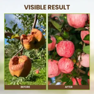 2026🏆✨LAST DAY SALE 70% OFF🔥Seasonal Promotion🔥-Soil Activator - Image 5