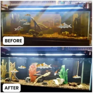 Aquariums Aqua-Guardian Blend - Image 22