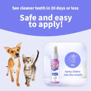 Natural Dental Spray - Image 7