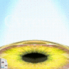 EyeCandy Drops