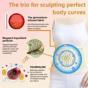 Fiber and Wormwood Body Shaping Waist Protector - Image 10
