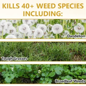 2-in-1 Herbicide 2026 | Fast Weed Killer - Image 3