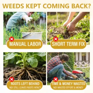 2-in-1 Herbicide 2026 | Fast Weed Killer - Image 7