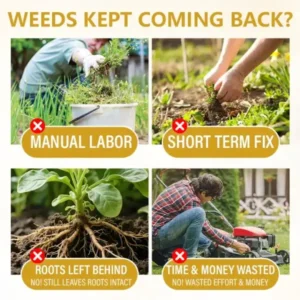 2-in-1 Herbicide 2026 | Fast Weed Killer - Image 3
