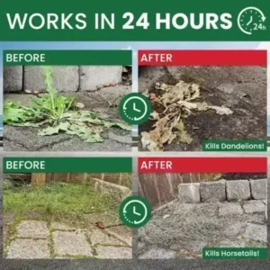 Kill Bamboo, Stumps & Invasive Weeds for Good – Root Killer Powder - Image 14