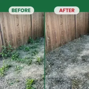 Kill Bamboo, Stumps & Invasive Weeds for Good – Root Killer Powder - Image 6