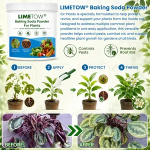 Baking Soda Powder for Plants - Image 3