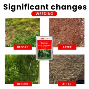 Cyclosinone Herbicide Water Dispersible Granules - Image 4