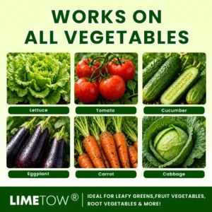 Organic Vegetable-Specific Fertilizer - Image 5