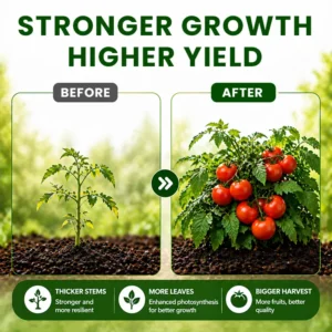Organic Vegetable-Specific Fertilizer - Image 8