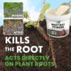 Root Rot Powder