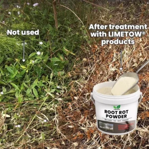 Root Rot Powder - Image 8