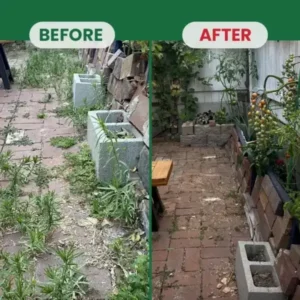 Weed Destruction Powder - Image 18