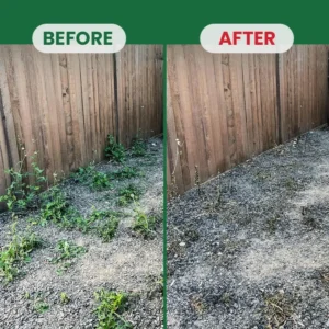 Weed Destruction Powder – Deep Penetrating Root Killer - Image 17