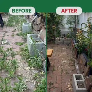 Weed Destruction Powder – Deep Penetrating Root Killer - Image 18