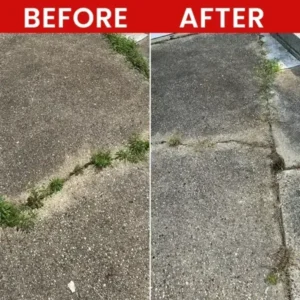 Weed Killer Spray - Image 9