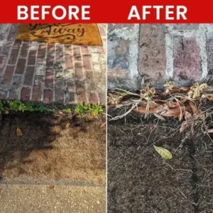 Weed Killer Spray - Image 10