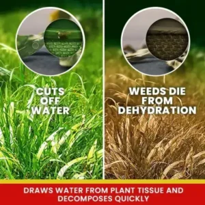 Weed Killer Spray - Image 8