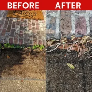 Weed Killer Spray - Image 10