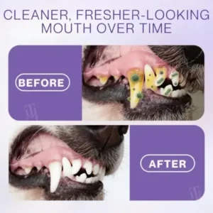 Pet Zinc-Gluconate Oral Spray - Image 7