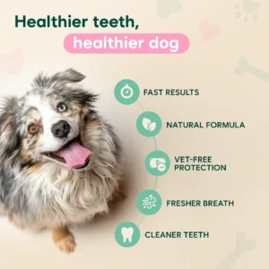 Dental Spray – Stop Bad Breath & Tartar at the Source - Image 5