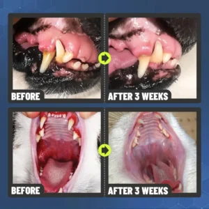 Dental Spray – Stop Bad Breath & Tartar at the Source - Image 7