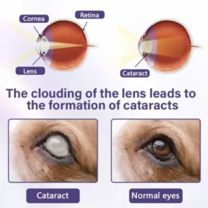 NanoCare Pet Eye Drops - Image 9