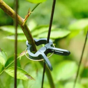 Safe Reusable Garden Flower Lever Loop Gripper Fixed Clips - Image 2