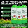 Powerful Aquarium Water Purification Tablet