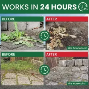 Weed Destruction Powder - Image 12
