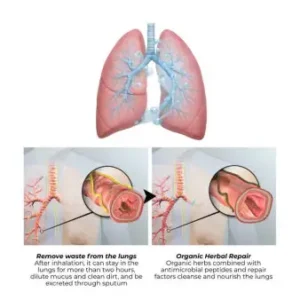 NEYEROS Botanical Mullein Lung Cleanse Diffuser - Image 8