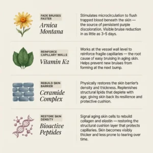 Bruise Repair & Skin-Strengthening Cream - Image 7