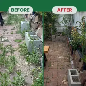 Weed Destruction Powder - Image 14