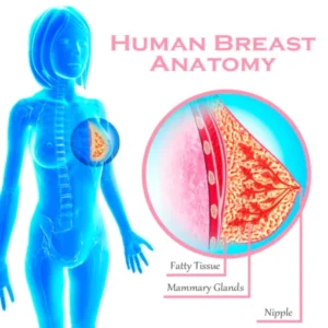ATTDX BreastFirming Massage Roller Gel - Image 7
