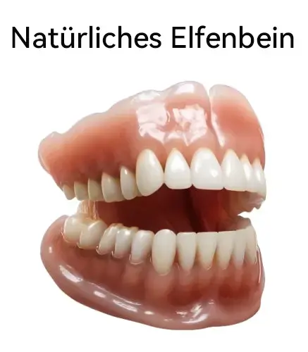 Hidone Premium Gebiss & Zahnprothese | Individuell anpassbar