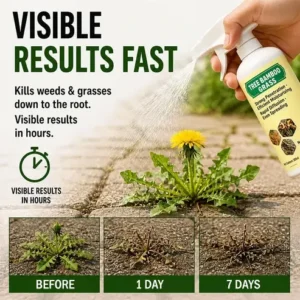 Alternative view of 🔥🔥2026 SALE - Fast-Acting Natural Weed & Grass Killer Spray