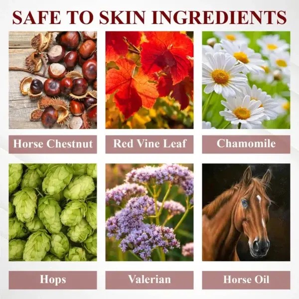 Horse Chestnut Joints and Muscles Massage Gel - Image 12