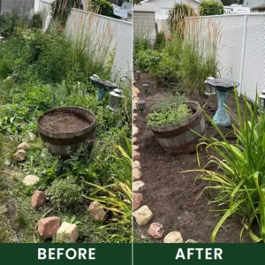 Weed Control Powder - Image 9